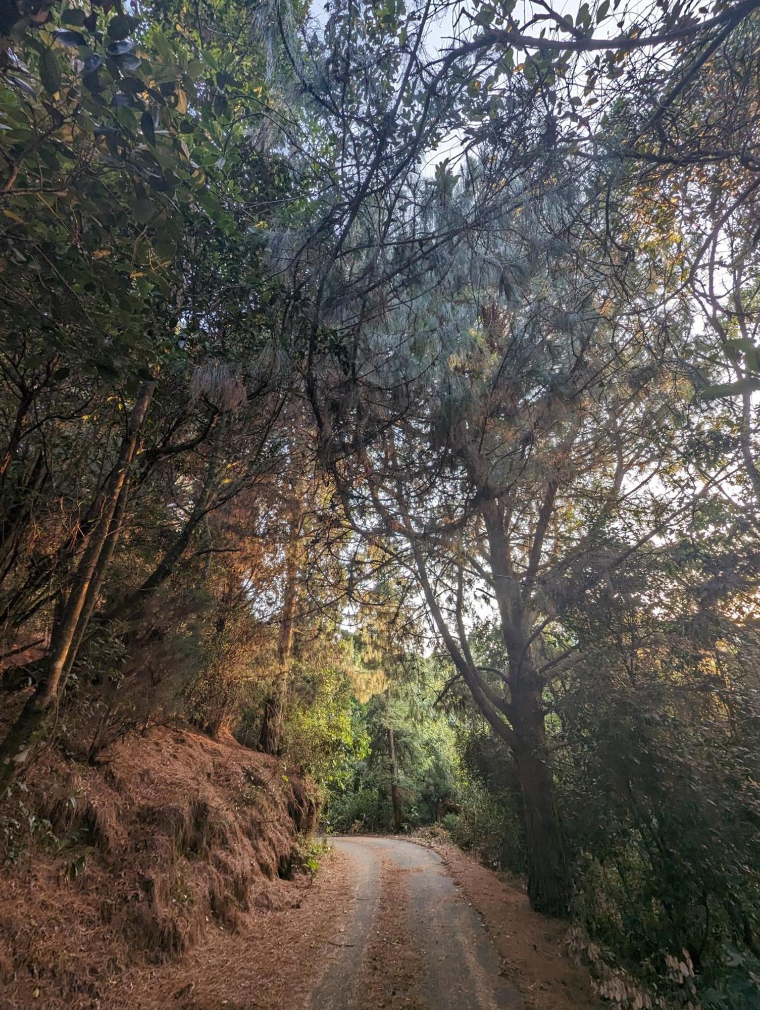 Ghar Homestay, Kotagiri Exterior foto